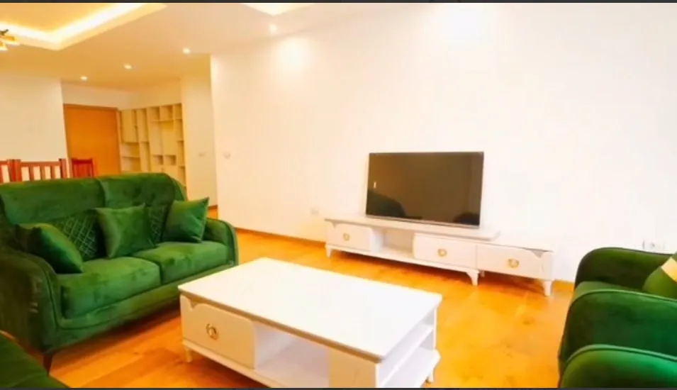Spacious Apartment for rent in near Bole international Airport, Addis Ababa Ethiopia 