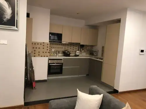 Furnished one Bedroom Apartment For Rent in Bisrate Gebriel, Addis Ababa, Ethiopia 