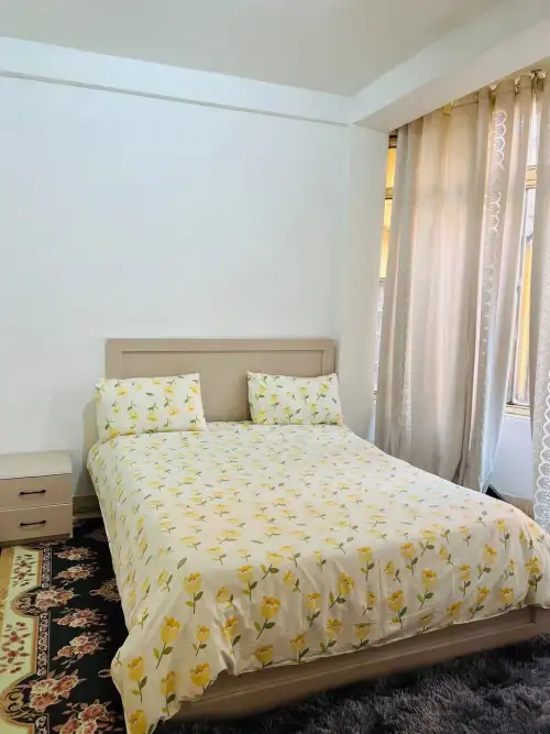 G+3 Furnished  6 Bedroom Guest House For Rent in Bole, Addis Ababa, Ethiopia 