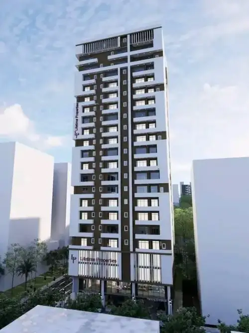 New Development in Bole -- Type 2